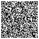 QR code with Costner & Sons Farms contacts