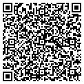 QR code with Connex contacts