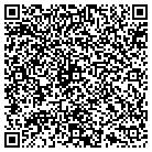 QR code with Pulaski County Accounting contacts