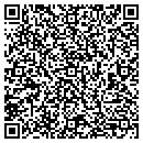 QR code with Baldus Painting contacts