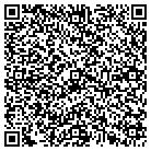 QR code with Blue Sky Construction contacts