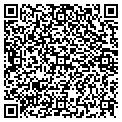 QR code with Motor contacts