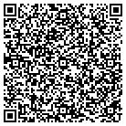 QR code with Pulaski County Attorneys contacts