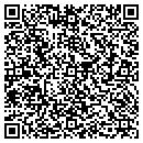 QR code with County Line Sale Barn contacts
