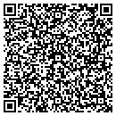 QR code with Clemons Investments contacts