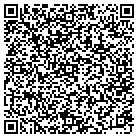 QR code with Pulaski County Municipal contacts