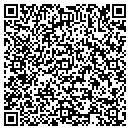 QR code with Color In Stitches Co contacts