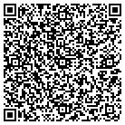 QR code with Blue Dolphin Flea Market contacts