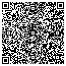 QR code with Clinton Cablevision contacts