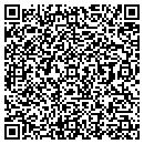 QR code with Pyramid Rock contacts