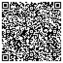 QR code with Cleaners Of Crossett contacts