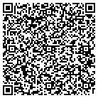 QR code with Pulaski Mortgage Co contacts