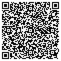 QR code with Dodads contacts