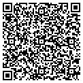 QR code with Amsoil contacts