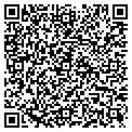 QR code with Cashes contacts