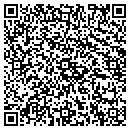 QR code with Premier Auto Plaza contacts