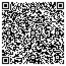 QR code with Programing Solutions contacts