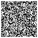QR code with Promise Electronics contacts
