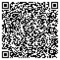 QR code with Aavalon contacts
