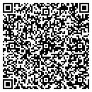 QR code with Pruitts Auto Inc contacts