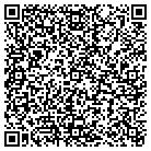 QR code with Professional Auto Color contacts