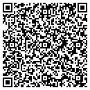 QR code with Colt Fire Department contacts