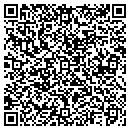 QR code with Public County Library contacts