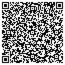 QR code with Pulaski Services Inc contacts