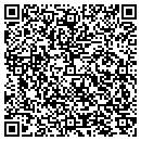 QR code with Pro Solutions Inc contacts