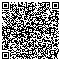 QR code with Newark contacts