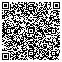 QR code with Modele contacts