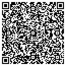 QR code with Progress One contacts