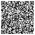 QR code with Peggys contacts