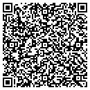 QR code with Blue Hill Painting Inc contacts