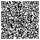 QR code with Carnes Construction contacts