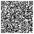 QR code with MSM Inc contacts