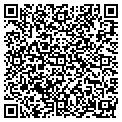 QR code with Tigers contacts