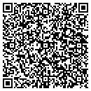QR code with C JJs Home & Garden contacts
