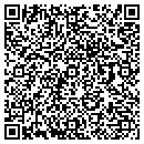QR code with Pulaski Bank contacts