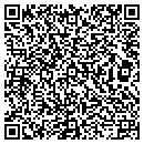 QR code with Carefree Ace Hardware contacts