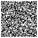 QR code with Carlson Aerial Inc contacts