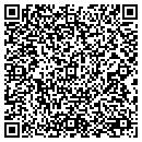 QR code with Premier Sign Co contacts