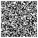 QR code with Premium Homes contacts