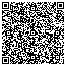 QR code with Bluepine Systems contacts