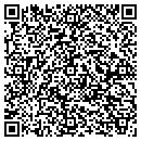 QR code with Carlson Construction contacts
