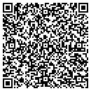 QR code with Chaney Seed & Chemical contacts