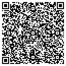 QR code with Chaney Chemical Inc contacts