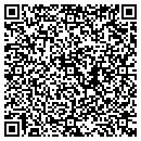 QR code with County Ag Pavilion contacts