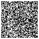 QR code with Care Free Travel Inc contacts