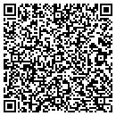 QR code with Premier Floor Covering contacts